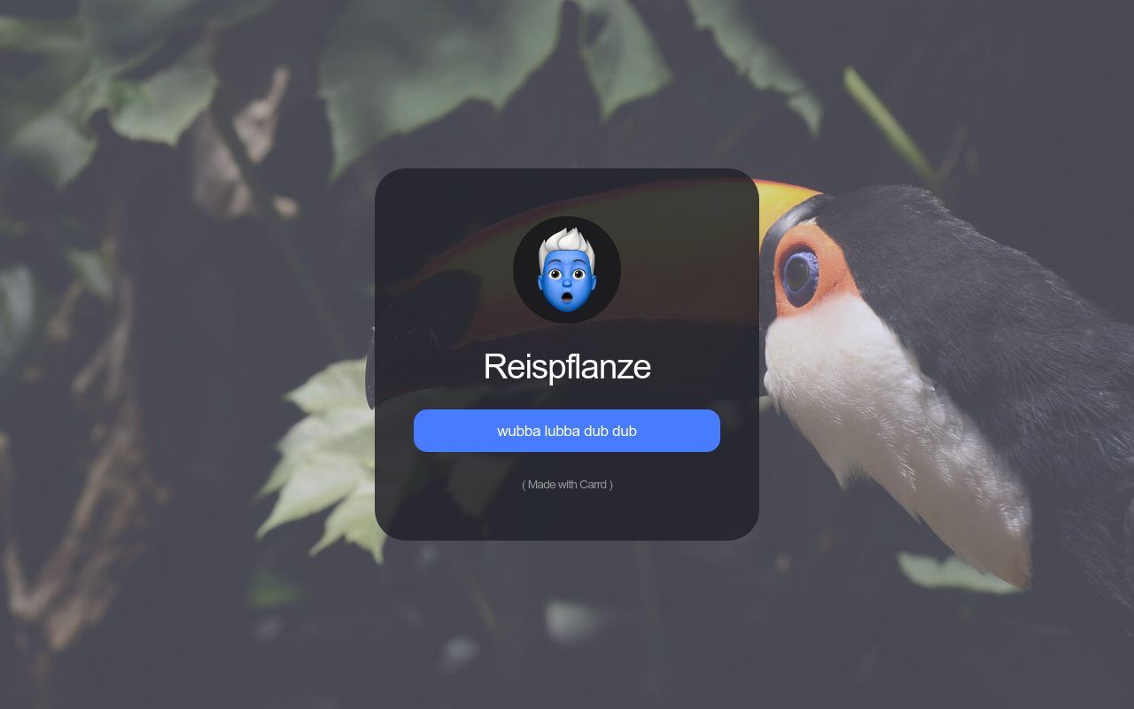 Carrd profile picture for @reis